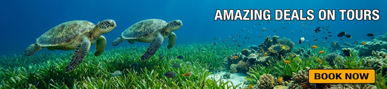 Slider - Kalido Travel